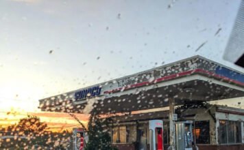 Upcoming Electric Vehicle Models to Watch A vintage-inspired digital illustration of a person hunched over the manual shifter of a Ford Mustang EV prototype in a dimly lit garage. A crumpled blueprint lies on the seat.