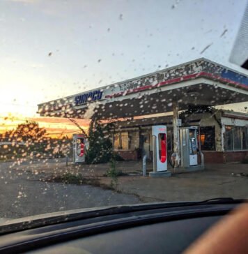 Upcoming Electric Vehicle Models to Watch A vintage-inspired digital illustration of a person hunched over the manual shifter of a Ford Mustang EV prototype in a dimly lit garage. A crumpled blueprint lies on the seat.