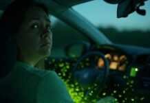 Breaking News: The Hottest First Cars to Watch in 2025 Blurry Civic, soda spill, new driver chaos.